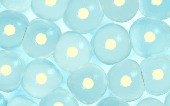 줄기세포를 나타낸 이미지. 게티이미지뱅크 제공