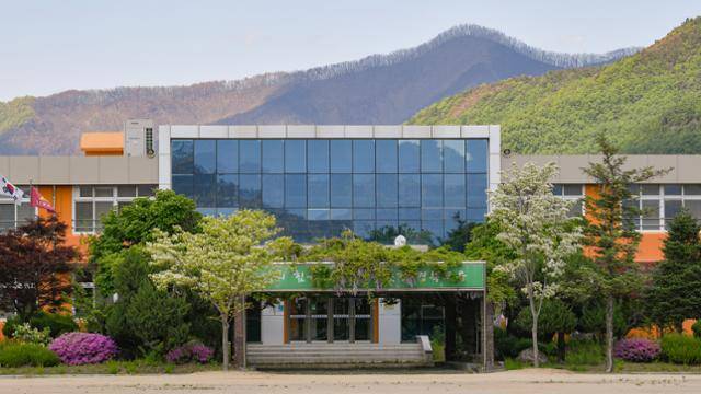 5월 7일 경북 안동시 길안면 길안중학교 뒤편으로 산불로 탄 나무와 타지 않은 나무가 나란히 보이고 있다. 이 학교 체육관에는 산불 피해 주민들을 위한 대피소가 마련됐다. 안동=남동균 인턴기자