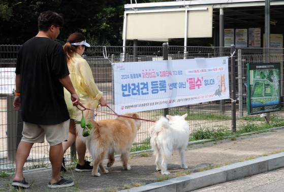 서울 마포구 월드컵공원에서 반려인들이 반려견과 함께 산책을 하고 있다. 뉴스1