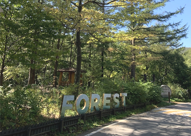 국립횡성숲체원. 산림청 국립산림과학원