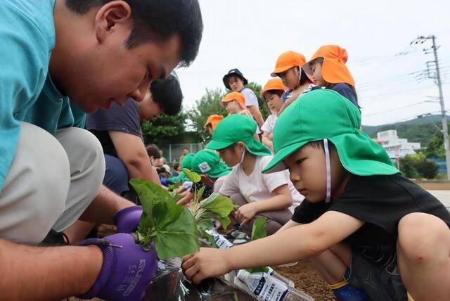 일본농협(JA)이 식농교육의 일환으로 실시하는 어린이 농업체험교실. 일본 하다노농협.