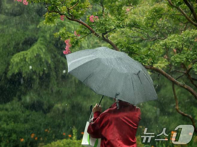 비가 내린 16일 전북 전주시 전북대학교 캠퍼스에서 우산을 쓴 시민이 발걸음을 재촉하고 있다. 2025.7.16/뉴스1 ⓒ News1 유경석 기자