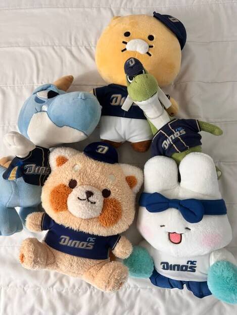 엔씨(NC) 다이노스 팬 이승록(27)씨가 구매한 캐릭터 콜라보 상품들. 이씨 제공.