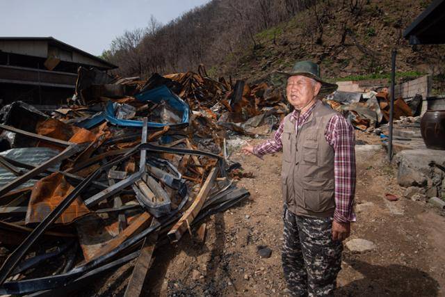 김응길이 산불로 전소된 집을 가리키며 망연자실해 하고 있다. 안동=남동균 인턴기자