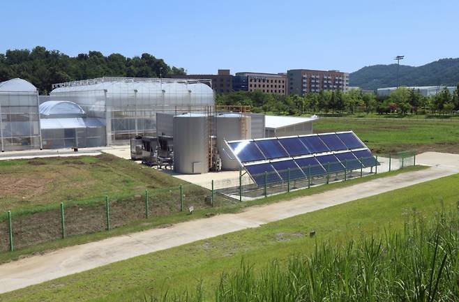 복합열원을 적용한 온실 3중 열병합발전 시스템 실증 시험 현장 (전주시 농촌진흥청 국립농업과학원 내) /사진=한국기계연구원