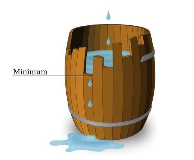 * 출처: Liebig's law of the minimum.(from Wikipedia)
