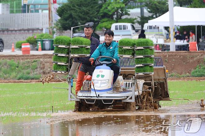 강원 동해시 망상동 지역 모내기.(동해시 제공, 재판매 및 DB 금지)