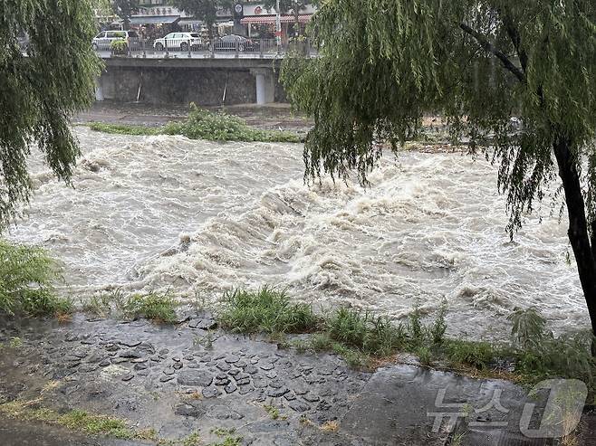 17일 오전 10시 10분을 기해 광주에 호우경보가 발령된 가운데 광주 도심을 가로지르는 광주천의 수위도 빠른 속도로 상승하면서 둔치가 침수 직전에 놓여 있다. 2025.7.17/뉴스1 ⓒ News1 김태성 기자