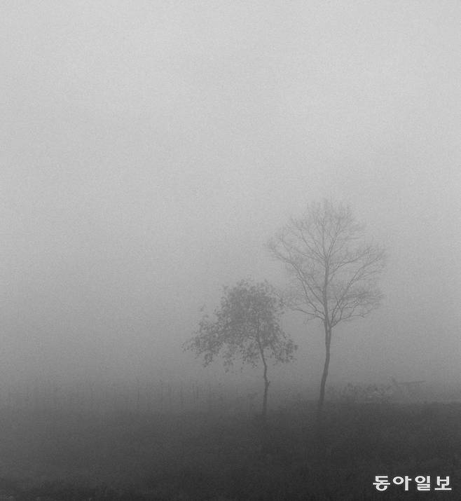 ⓒMin Byung Hun, deep fog, df025, 1999.