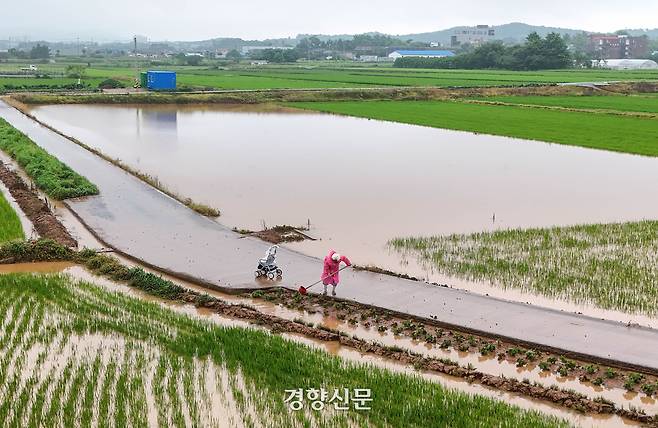 충남 서산시 석림동 청지천 일대. 서산|성동훈 기자