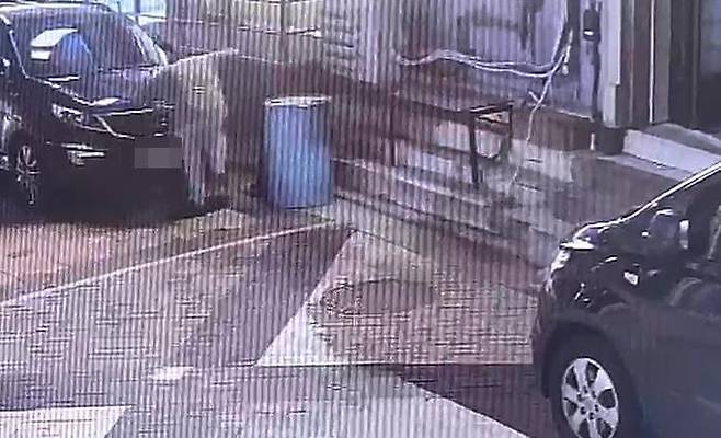 길고양이 학대하는 A 씨 / 사진=동물자유연대 제공, 연합뉴스