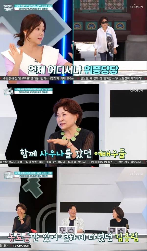 TV조선 ‘퍼펙트라이프’ 캡처