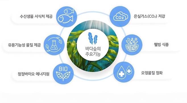 바다숲 사업 개요