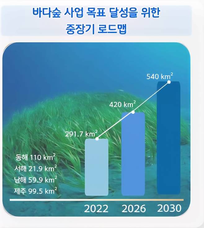 바다숲 사업 목표 달성을 위한 중장기 로드맵