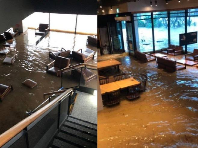 사진=엑스(X구 트위터)