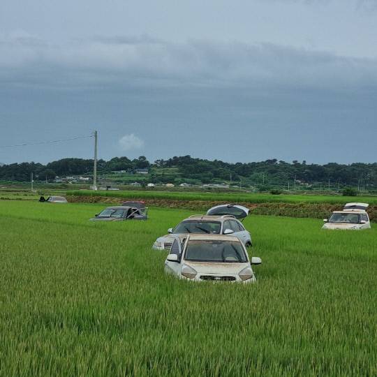 18일 물이 빠진 참사 현장. 사고 차량이 농경지에 박혀 있다. 김성환 기자