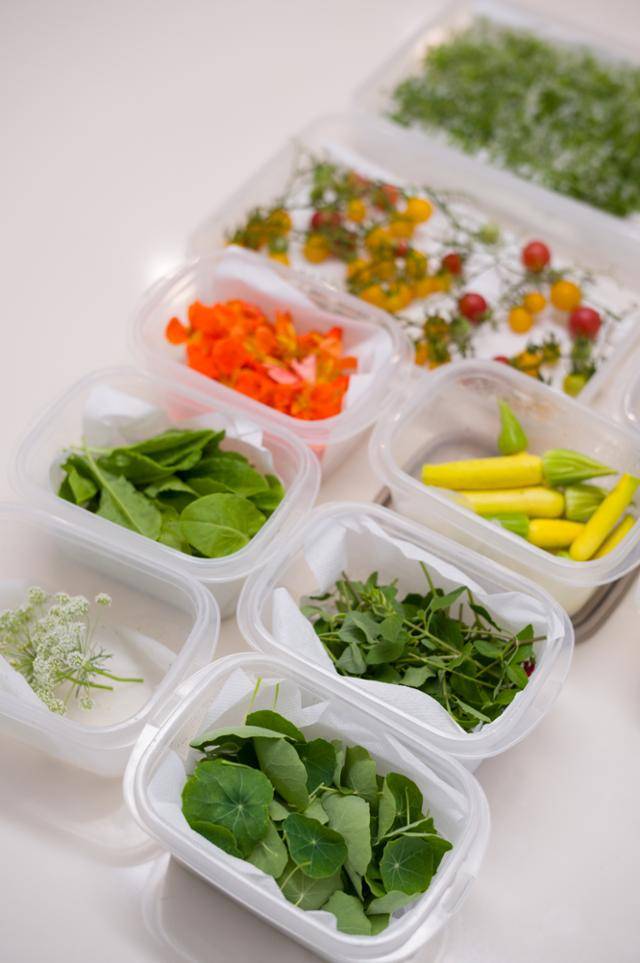 공다현 셰프가 매주 경기 남양주 농장에서 공수해 오는 식용 꽃과 채소들. 장준우 제공