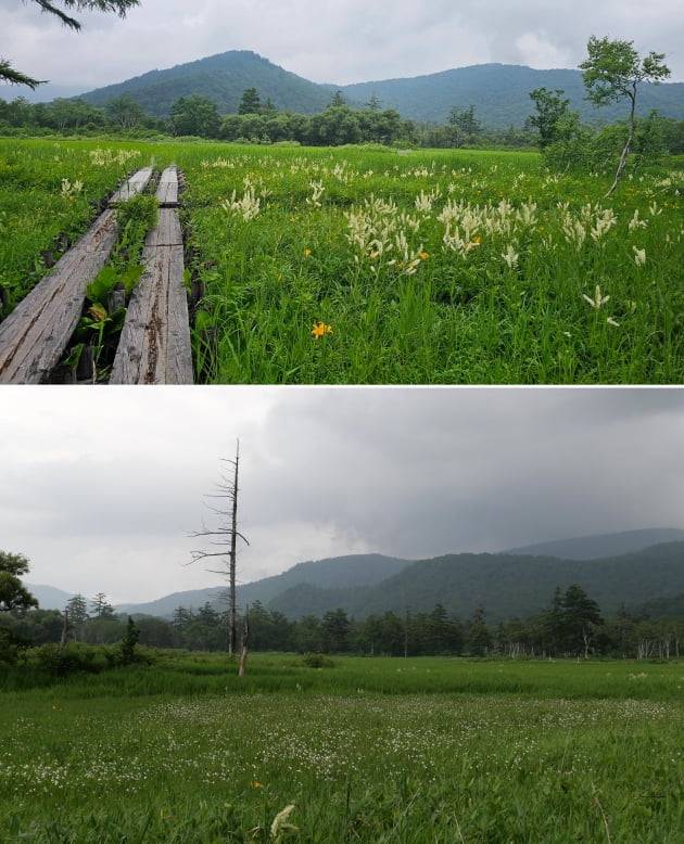 기상이 좋지 않아 산장 주변의 짧은 코스를 산책했다. / JAPAN NOW