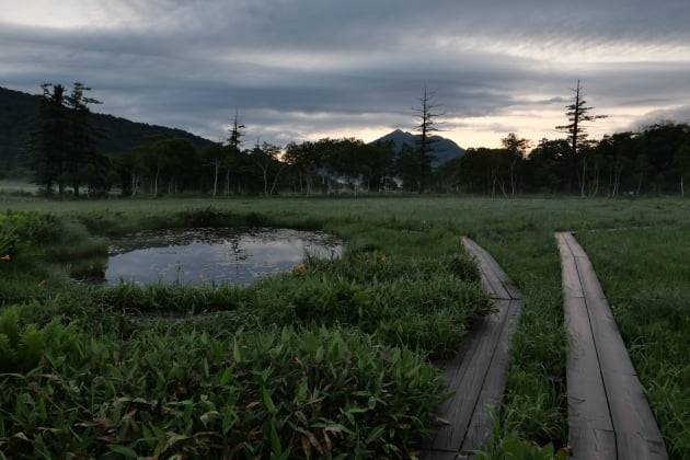 오제 여명(黎明) / JAPAN NOW