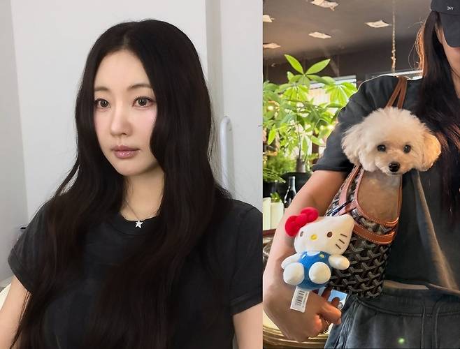 김사랑 소셜네트워크서비스 계정