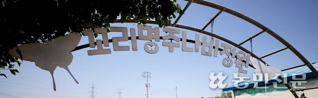 웃다리문화촌에는 꼬리명주나비 서식지 등 다양한 생태 공간이 마련돼 있다.