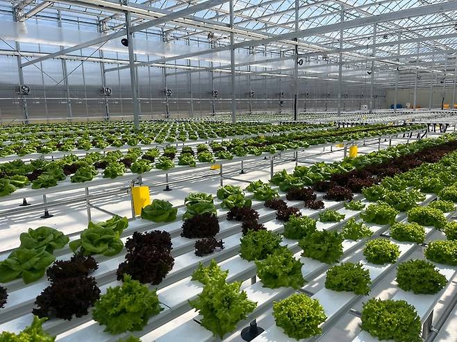 예천군 호명읍 월포리에 조성된 예천농협 스마트농업지원센터 내부. <장석원기자 history@yeongnam.com>