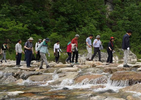경북 울진군 동서트레일 55구간에 있는 돌다리길. 사진 산림청