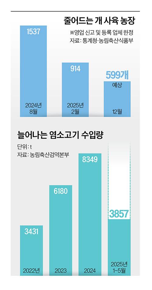그래픽=이현민 기자