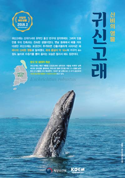 2018년 해양수산부가 2월의 해양생물로 선정한 귀신고래