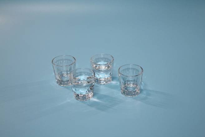 간은 단순한 대사기관을 넘어 면역 조절 기능까지 수행한다. 게티이미지