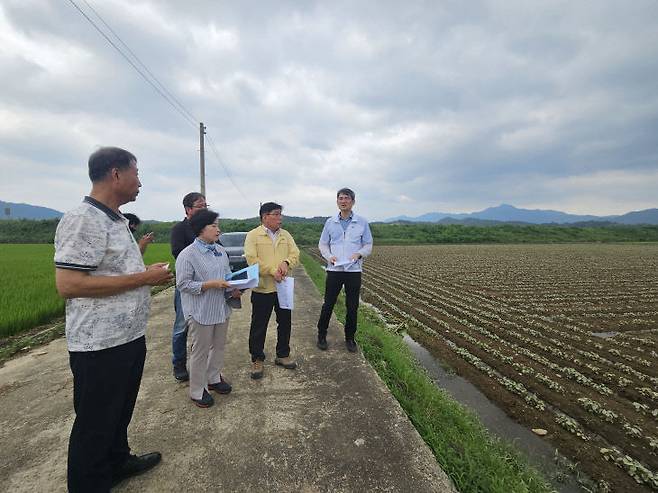 전남 곡성 논콩 재배지 침수현장을 찾아 점검 중인 권철희 농촌지원국장.