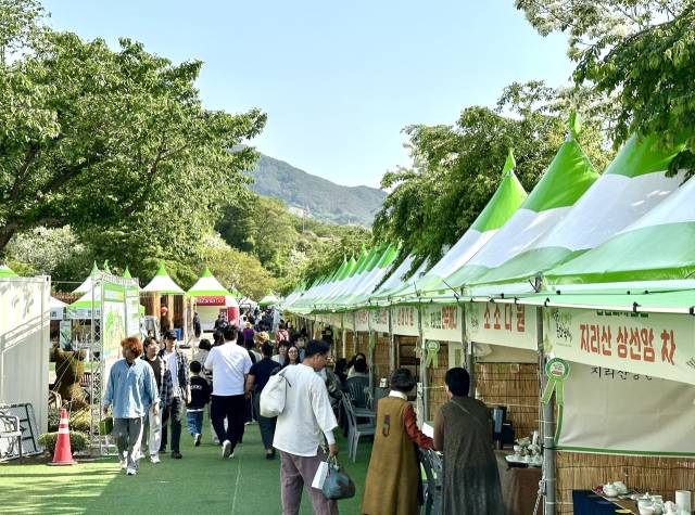 하동야생차문화축제 전경. 하동군 제공