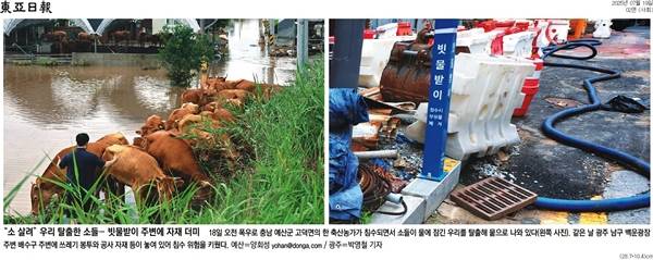 ▲ 동아일보 사진기사 갈무리.