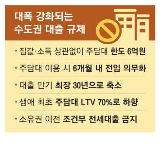 지난달 28일부터 강화된 대출 규제 주요 내용.