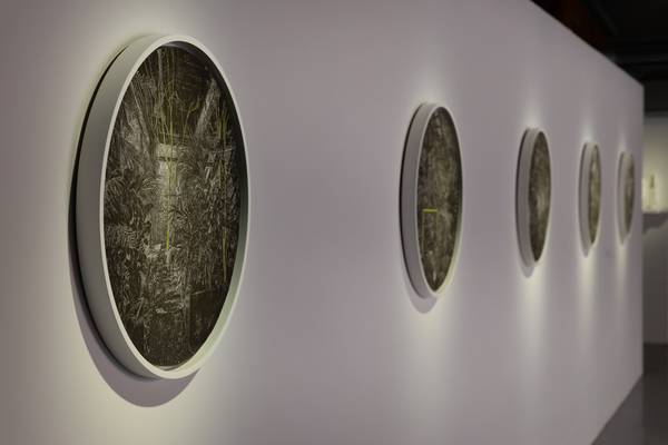 김유정 개인전 ‘별난 꿈꾸는 이웃하는’에서 전시한 프레스코 회화들. 2025.7.18 /김유정 작가 제공