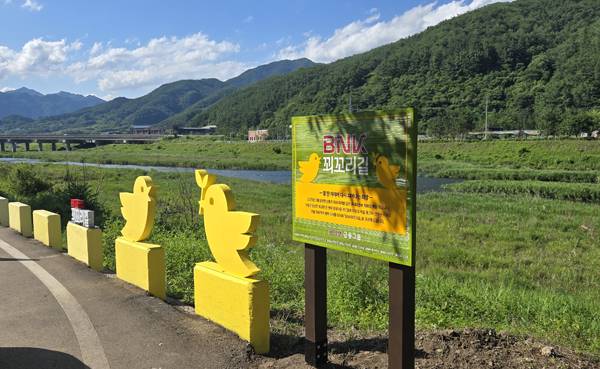 BNK경남은행이 산불 피해지역인 산청군 시천면의 640m 길이 방호벽을 산청군 군조를 상징하는 '꾀꼬리길'로 새단장했다. / BNK경남은행