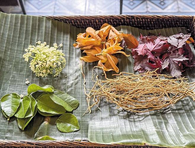 발리에서 채집한 식물과 꽃. 칵테일 재료로 활용한다. /김지호 기자