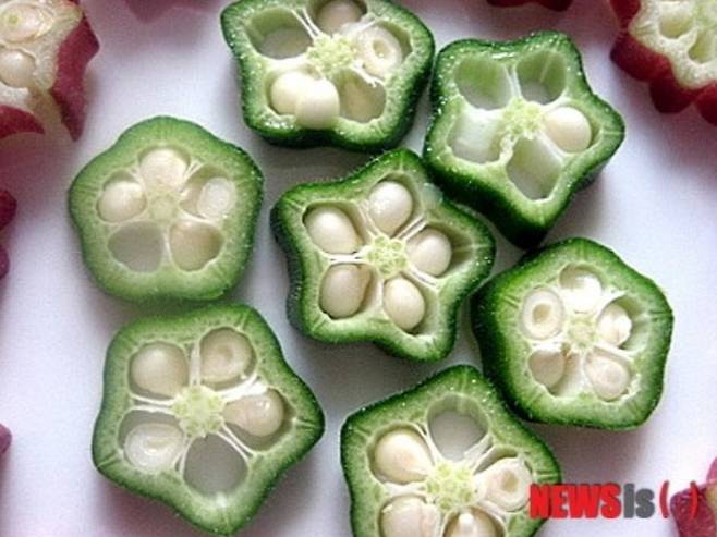 아열대 채소 오크라의 모습. /사진=뉴시스