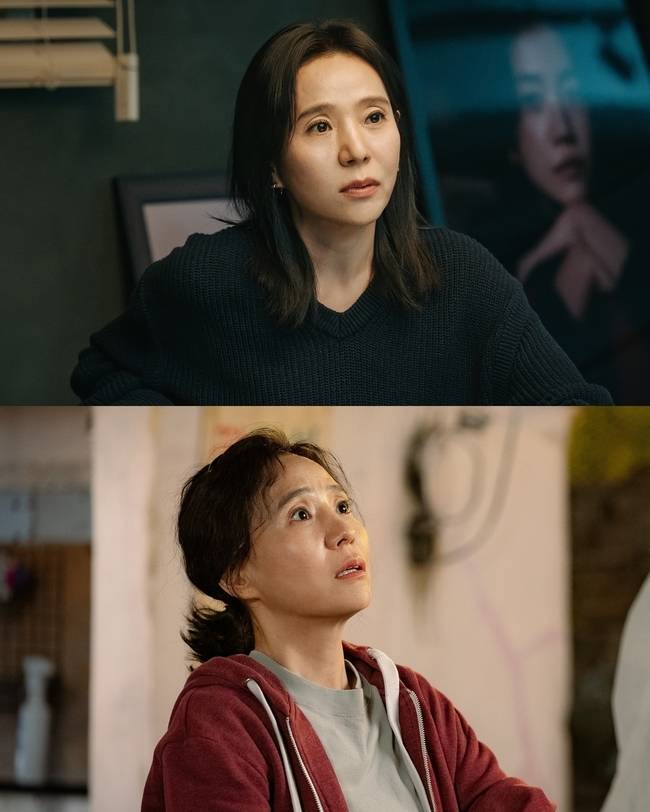 사진=SBS ‘우리영화’, SLL, 스튜디오앤뉴, 드라마하우스스튜디오