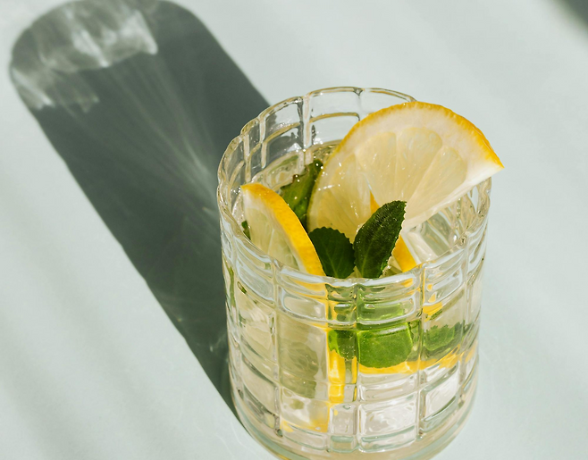 레몬과 허브가 담긴 물