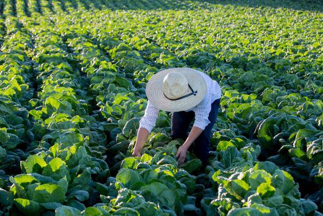 /클립아트코리아