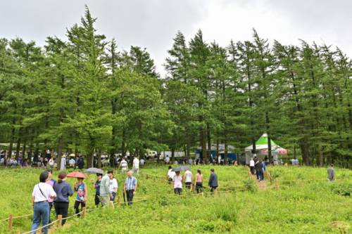 2025 정선 함백산 야생화 축제가 오는 25일부터 8월 13일까지 3주에 걸쳐 해발 1,330m 만항재 산상의 화원을 비롯한 고한읍 시가지 일원에서 개최된다. 사진은 지난해 정선 함백산 야생화 축제 모습.