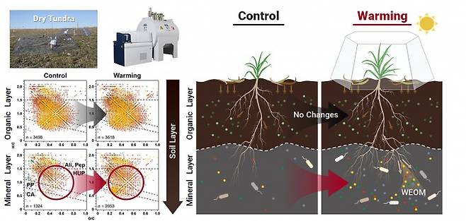 북극 툰드라 토양에서 온난화에 따른 깊이별 수용성 유기물(WEOM)의 반응 차이를 보여주는 모식도. KBSI 제공