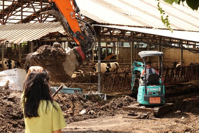 경기 가평군 조종면 현리 한 축사에서 관계자들이 지난 21일 수해피해 복구작업을 하고 있다. 연합뉴스.