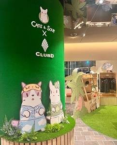 ‘고양이와 스프’ x ‘’클럽디 오아시스‘