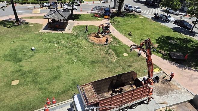 지난 12일 낮 충북도청과 88년을 함께 한 정원 느티나무가 사라졌다. 노동자 등이 느티나무를 잘라 트럭에 싣고, 나무를 자른 자리에 바위를 놓고 있다. 오윤주 기자