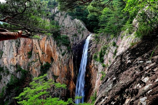 ▲ 한국의 3대 폭포로 일컬어지는 설악산 대승폭포가 지난 21일 짙푸른 녹음과 함께 비경을 자랑하고 있다. 설악산 대승폭포는 인제군 북면 한계리에 위치해 있다. 인제군 제공