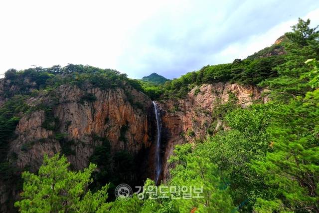 ▲ 한국의 3대 폭포로 일컬어지는 설악산 대승폭포가 지난 21일 짙푸른 녹음과 함께 비경을 자랑하고 있다. 설악산 대승폭포는 인제군 북면 한계리에 위치해 있다. 인제군 제공