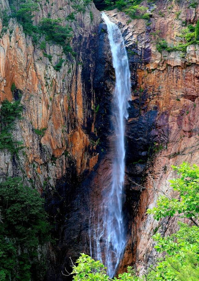 ▲ 한국의 3대 폭포로 일컬어지는 설악산 대승폭포가 지난 21일 짙푸른 녹음과 함께 비경을 자랑하고 있다. 설악산 대승폭포는 인제군 북면 한계리에 위치해 있다. 인제군 제공