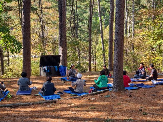 춘천숲체원이 운영하고 있는 항노화 산림치유 프로그램에 지역내 어르신들이 참가해 산림치유를 체험하고 있다. 사진제공=한국산림복지진흥원